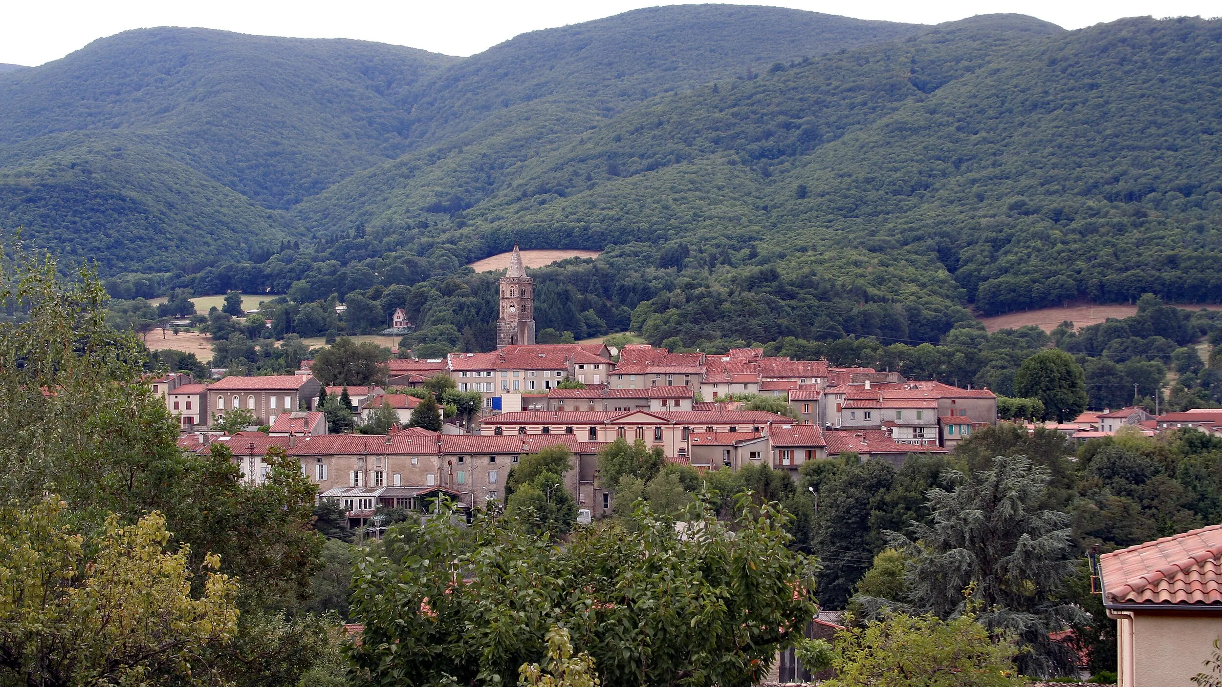 Vue de Saint-Amans-Soult