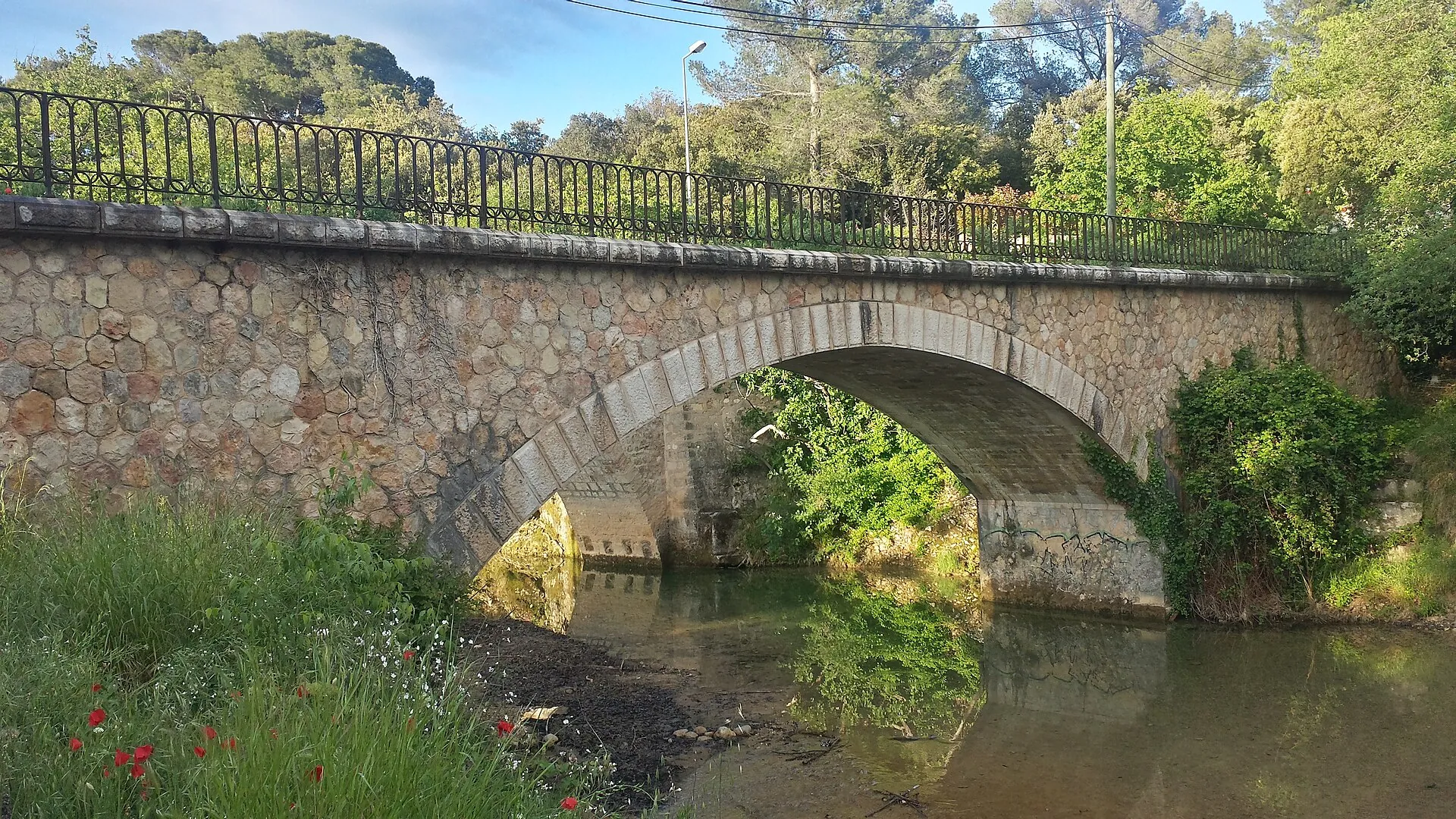 Vue de Draguignan