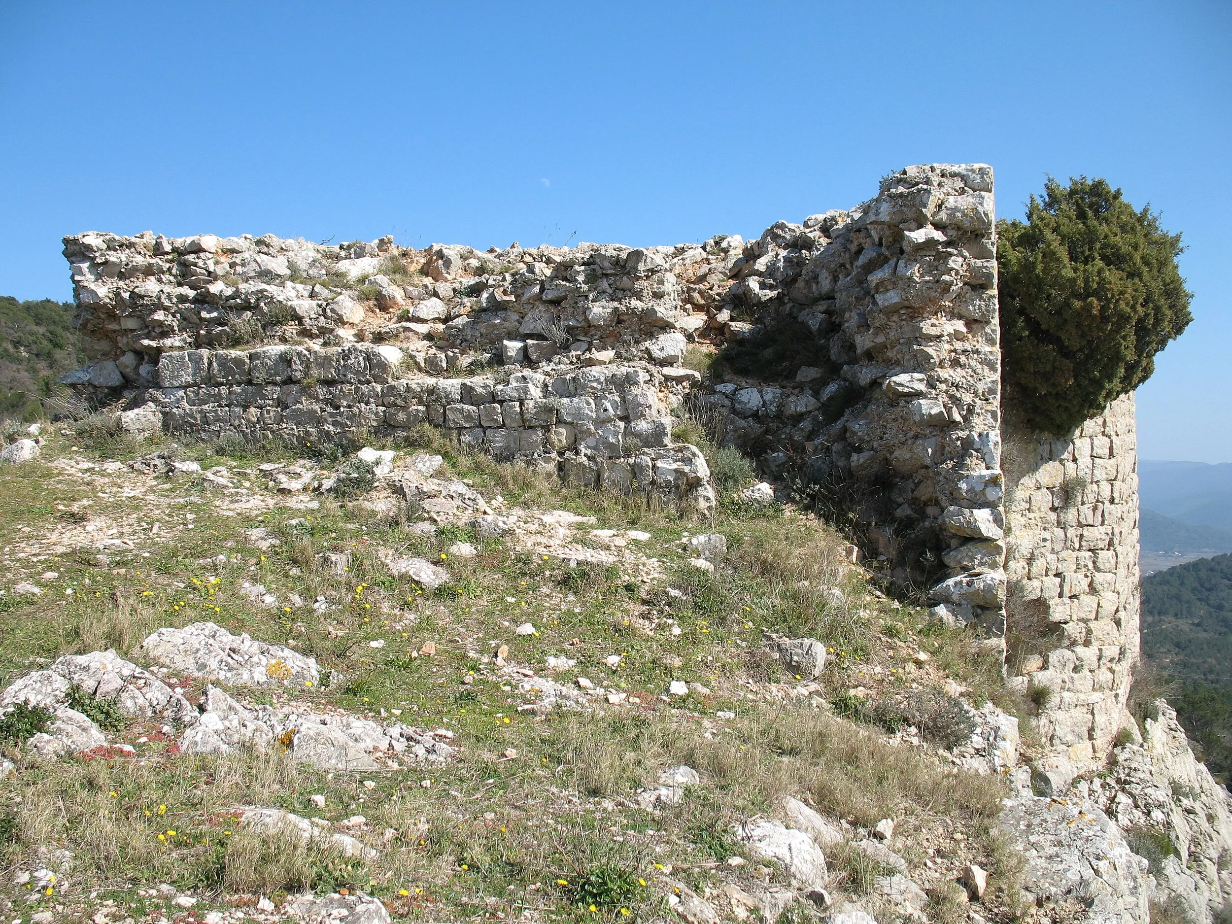 Vue de Rocbaron