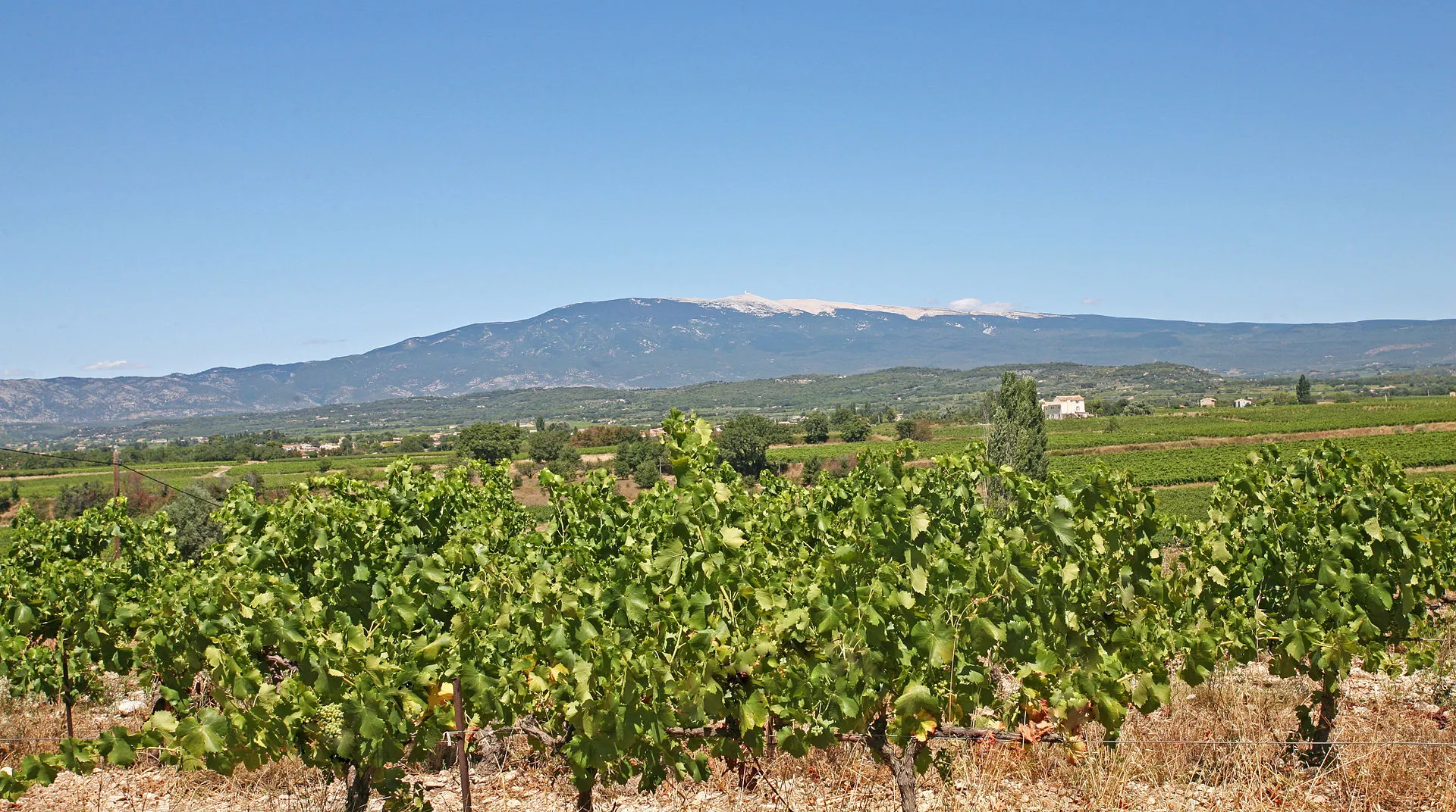 Vue de Mazan