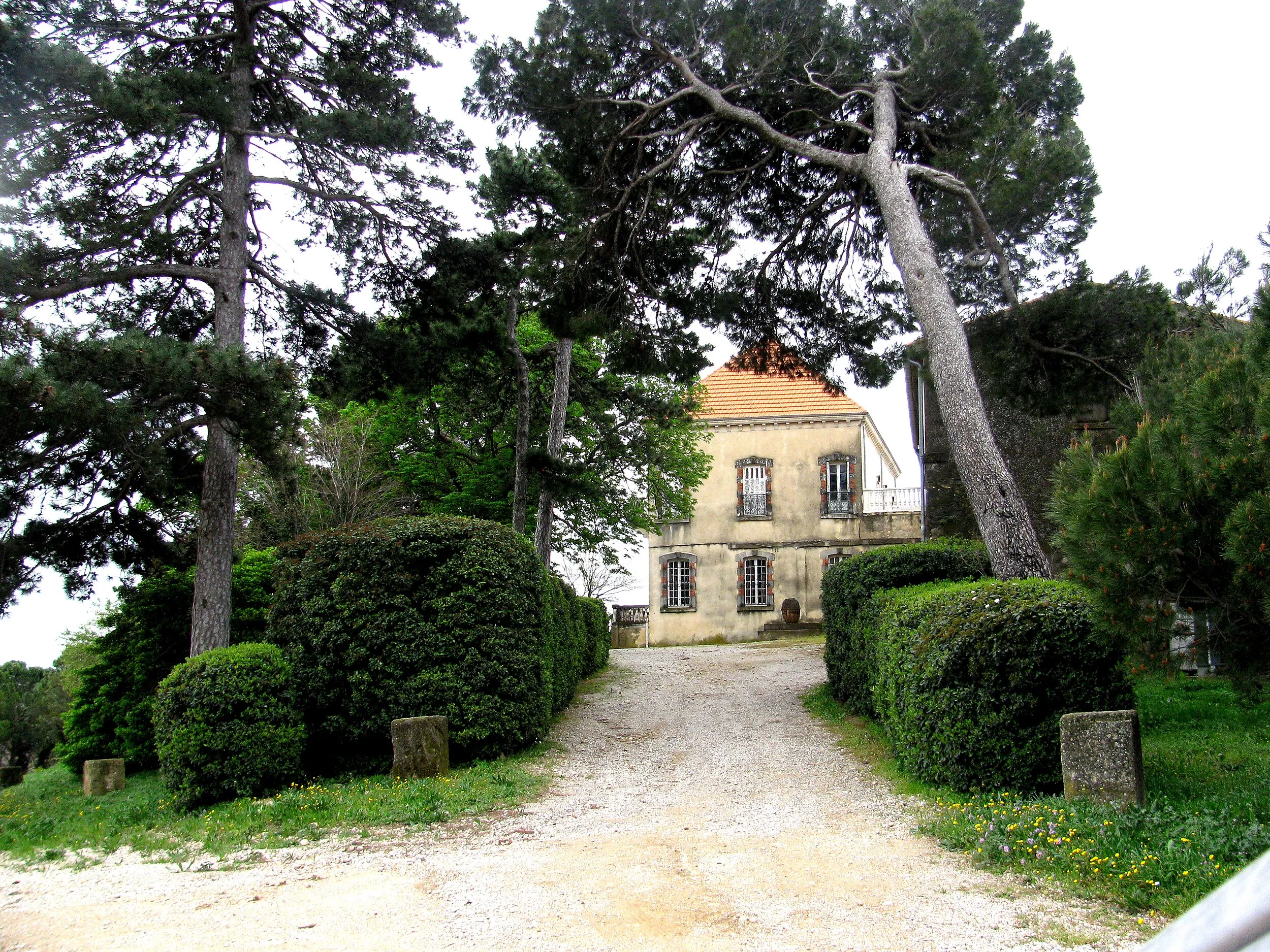 Vue de Sainte-Cécile-les-Vignes