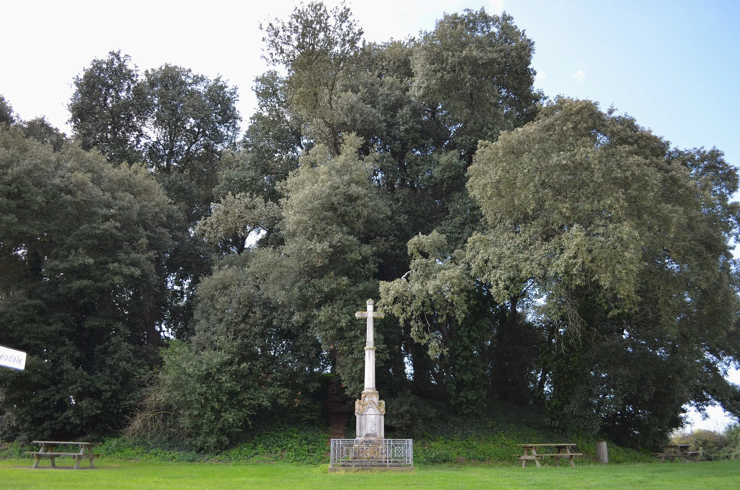 Vue de Bois-de-Céné