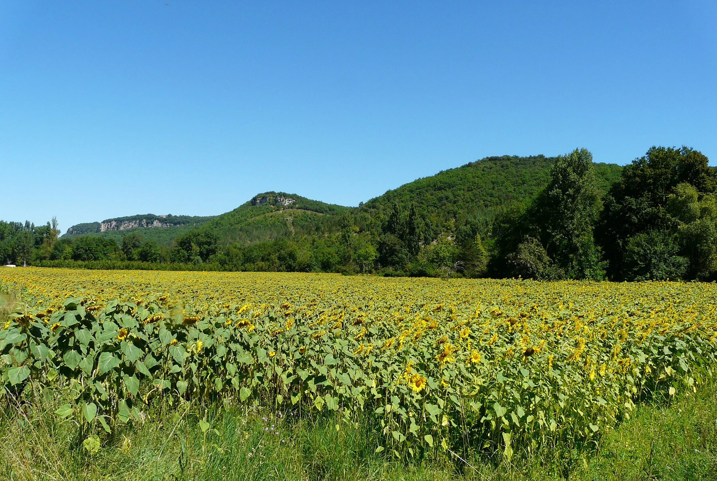 Vue de Le Champ-Saint-Père