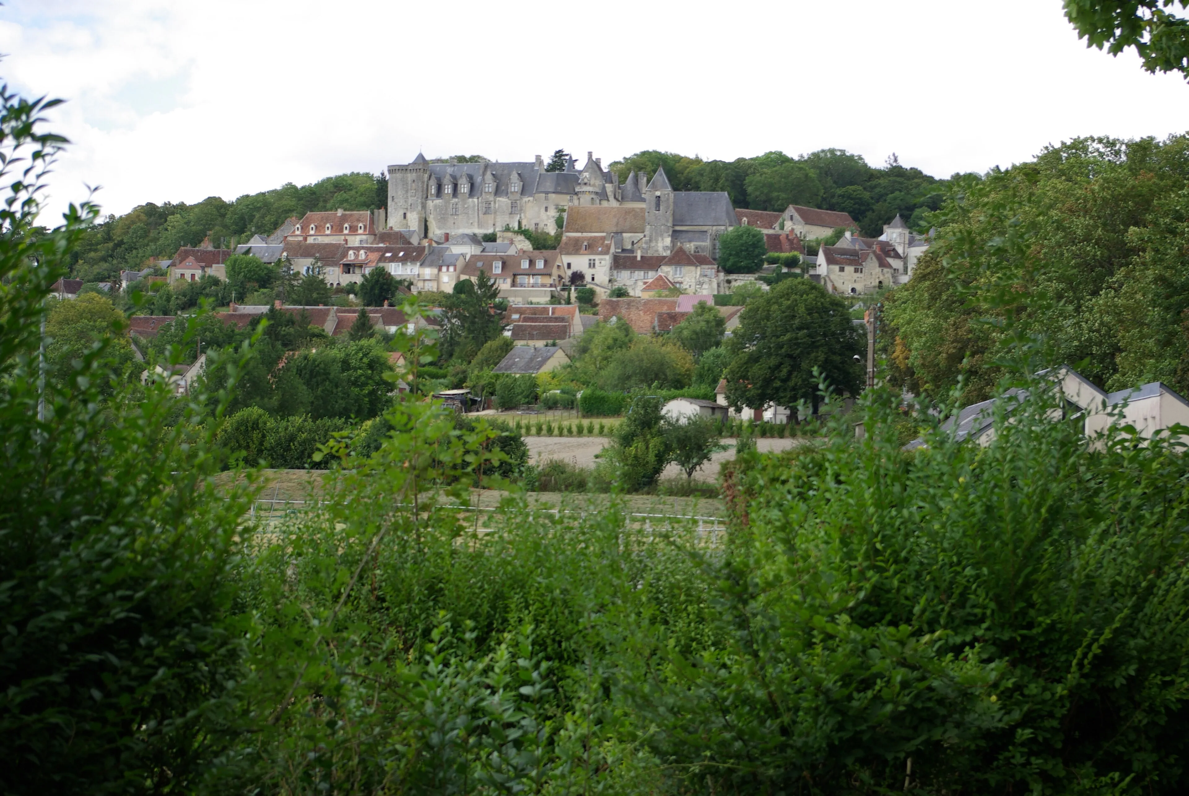 Vue de Palluau