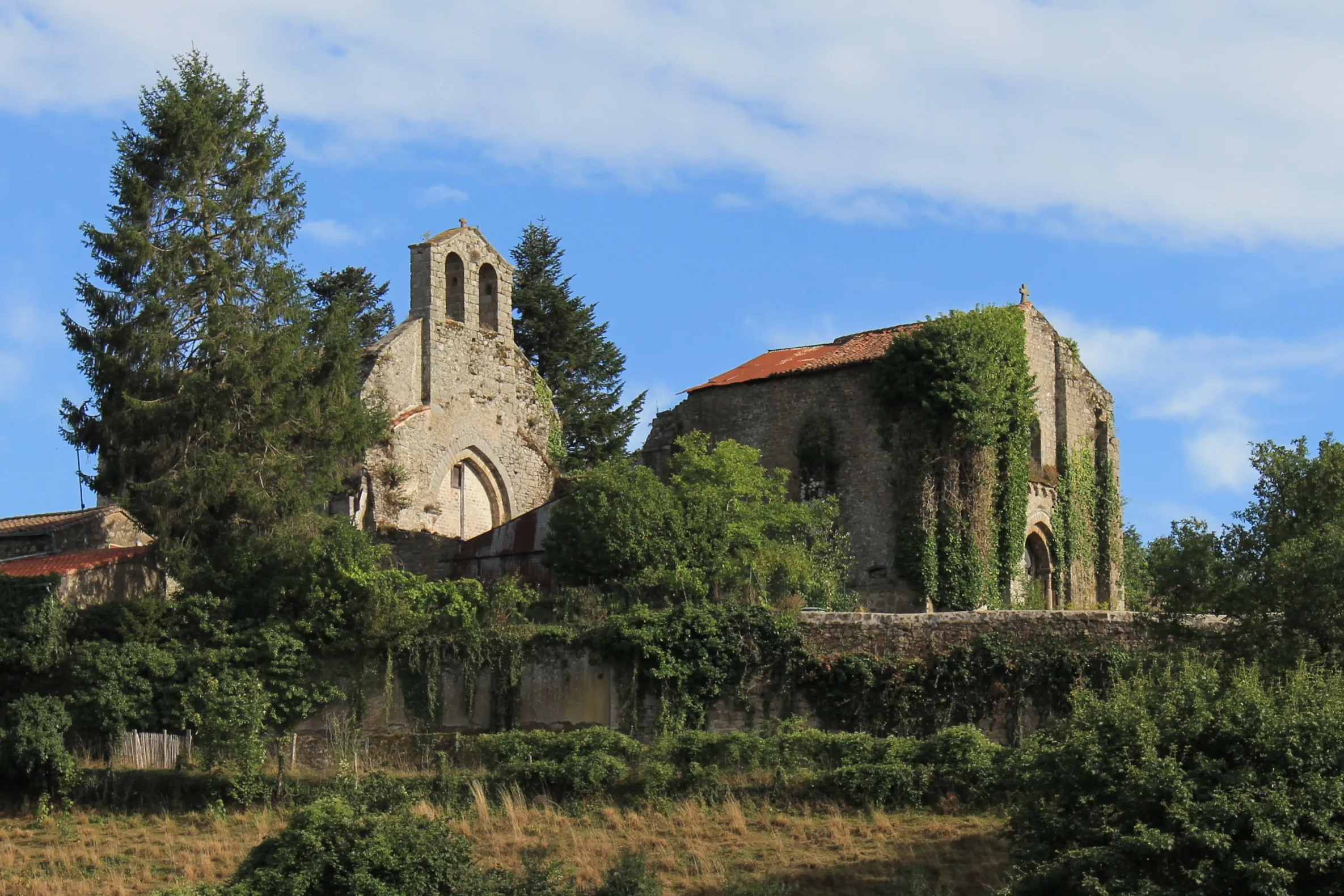 Vue de Tiffauges
