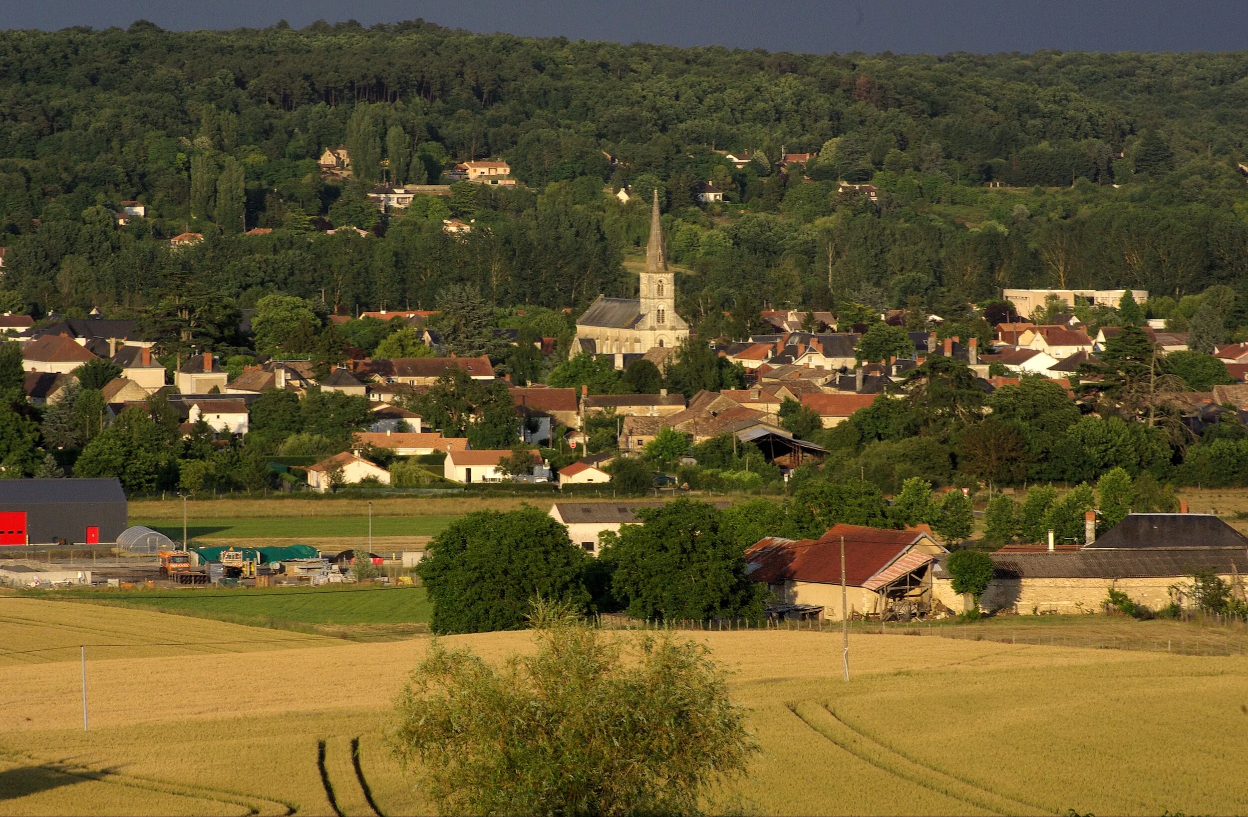 Vue de Vouneuil-sur-Vienne