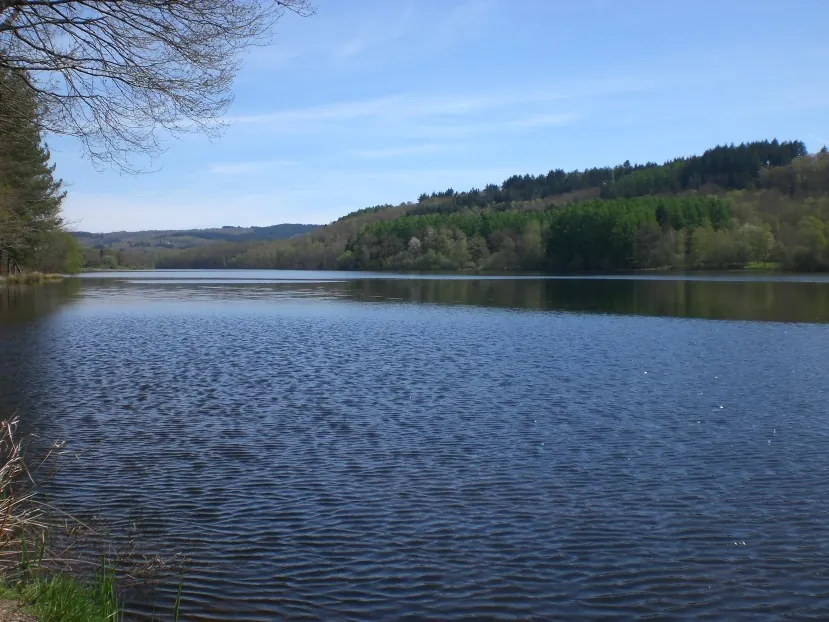 Vue de Saint-Pardoux-le-Lac