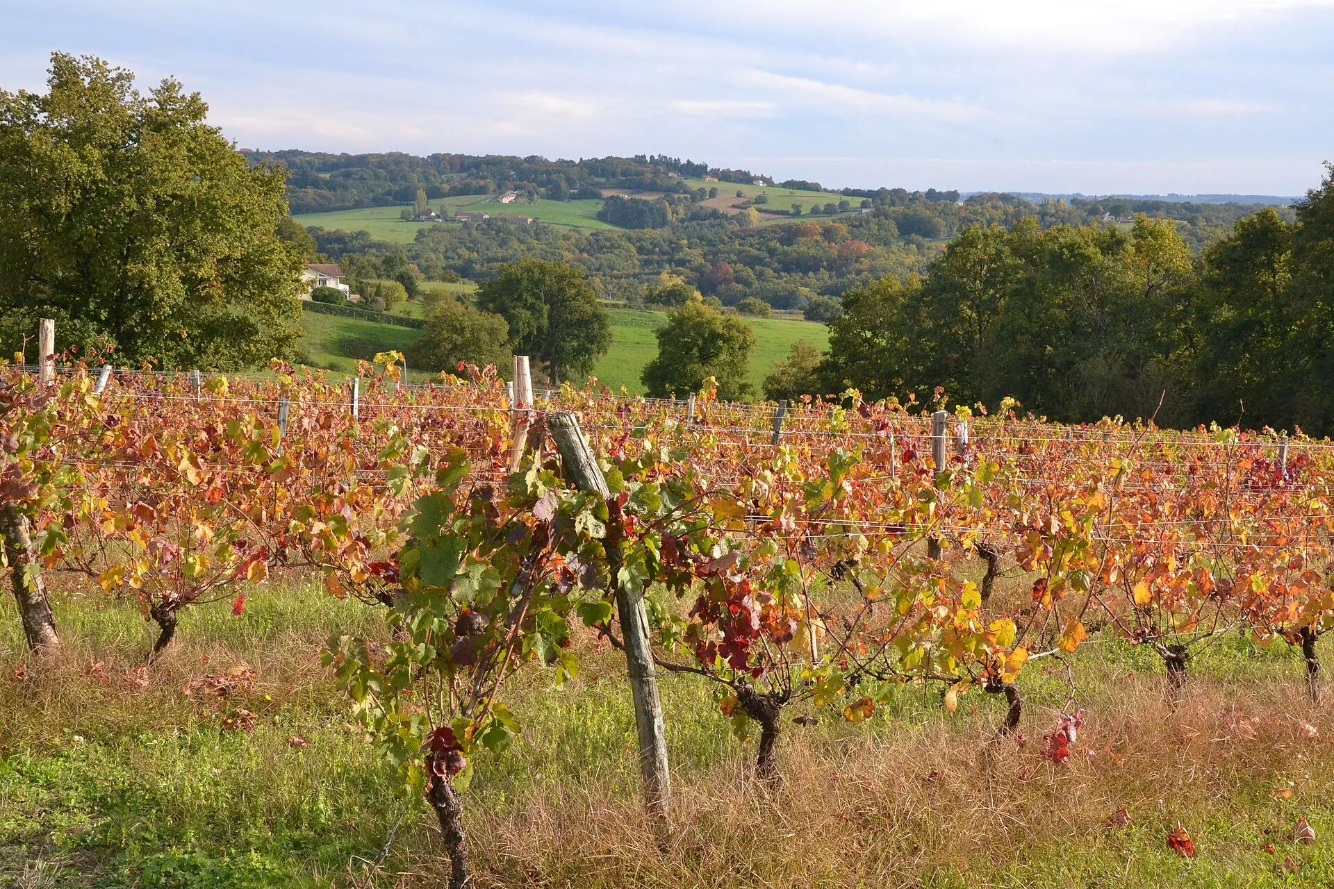Vue de Verneuil-sur-Vienne