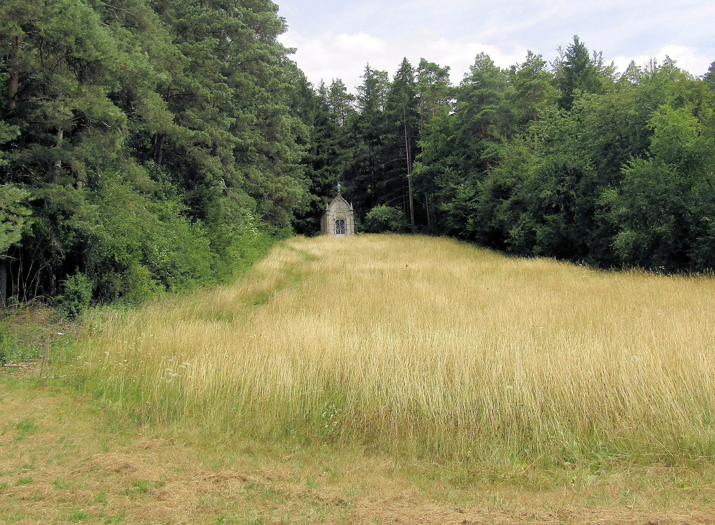 Vue de Liffol-le-Grand