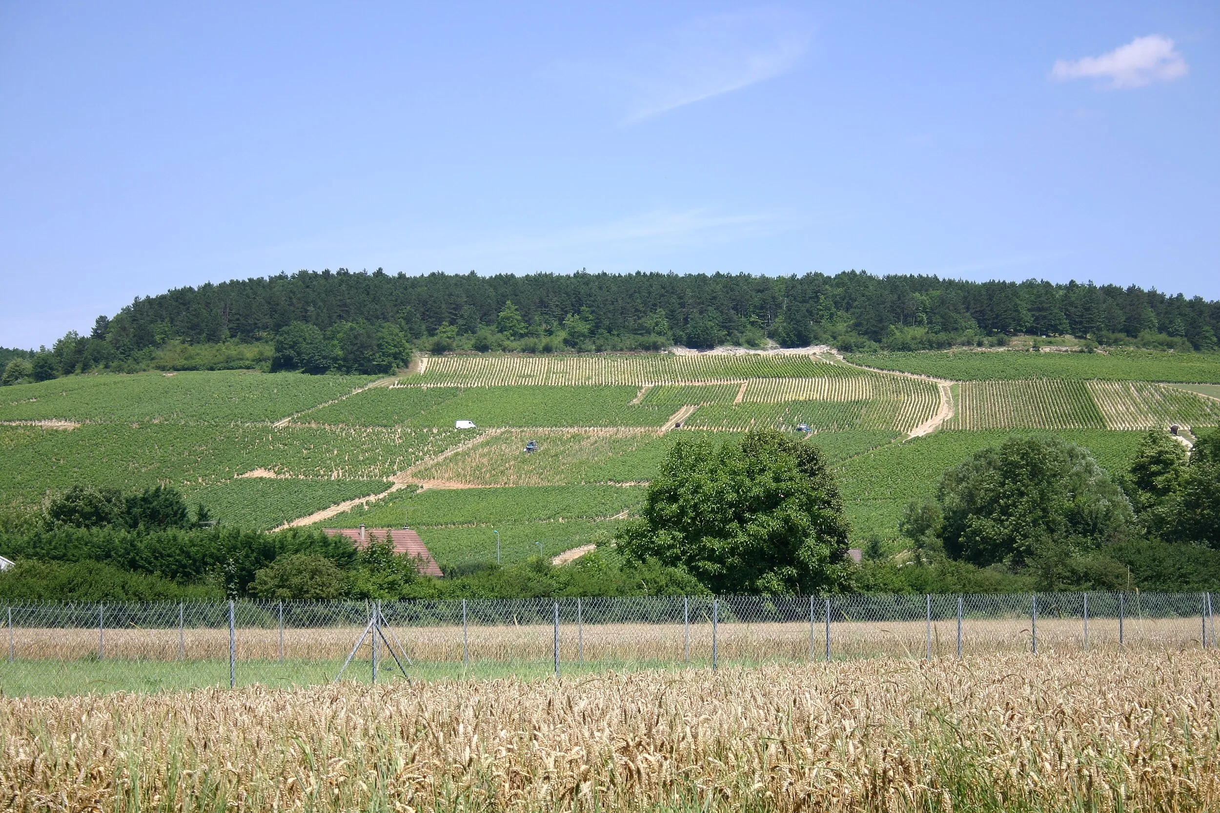 Vue de Chablis