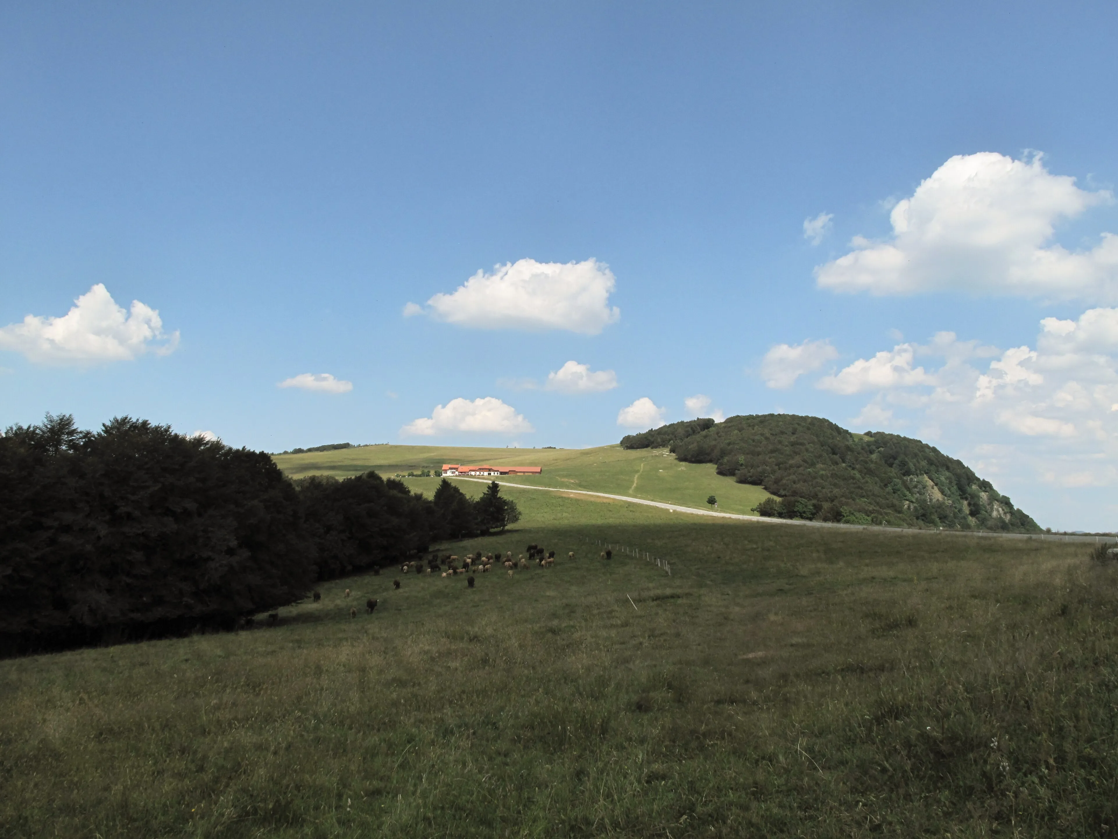 Vue de Lepuix