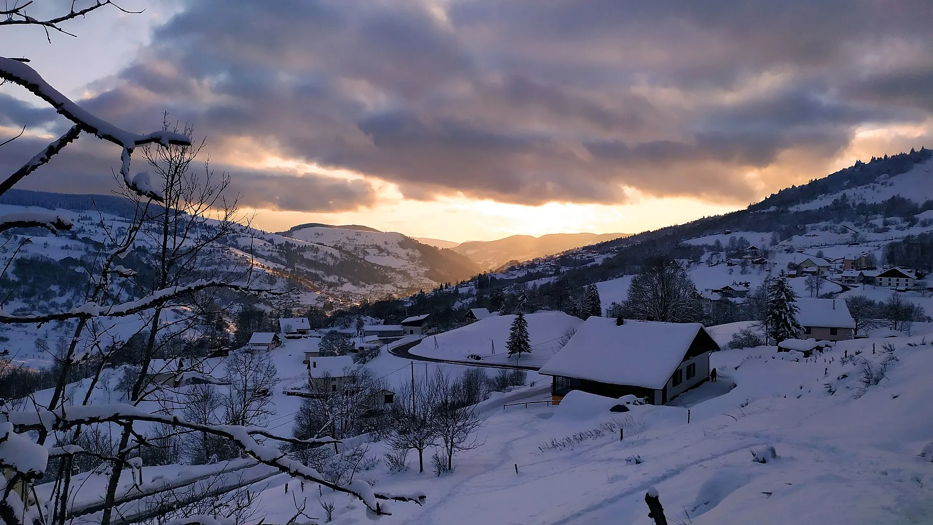 Vosges